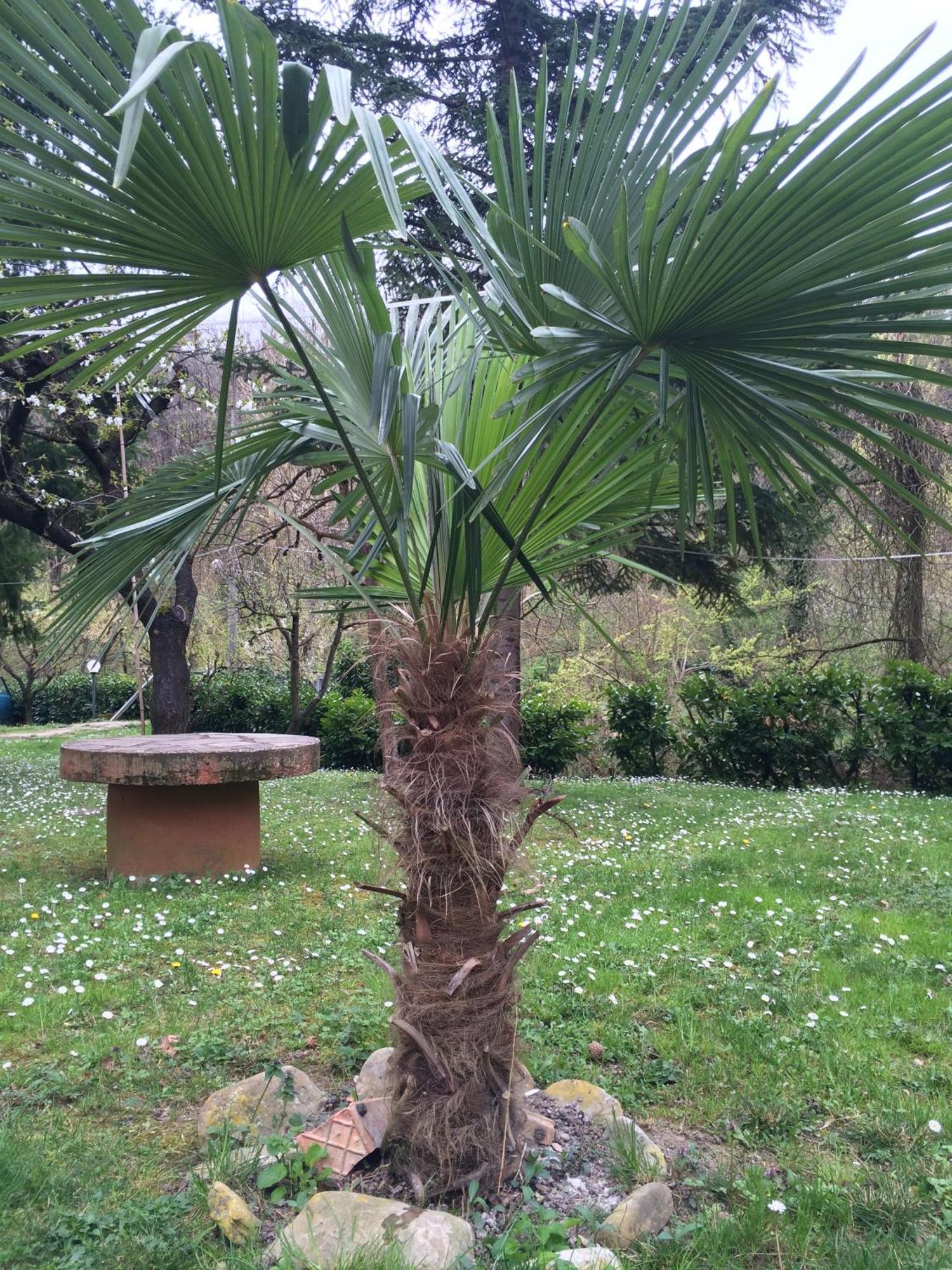 Locanda Irene Monte San Pietro المظهر الخارجي الصورة